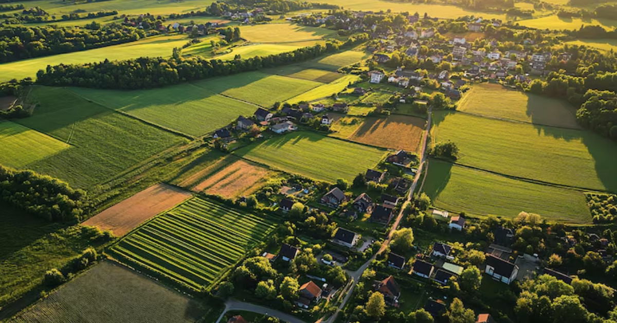 Shapoorji Pallonji Treetopia