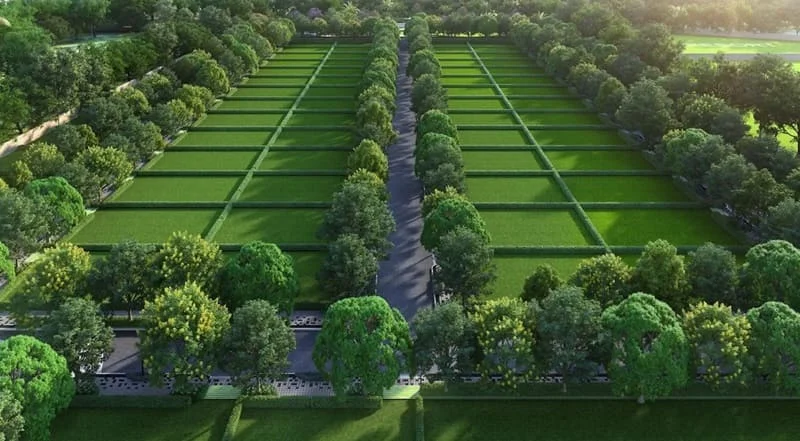 Aratt Escapes Summer and Sage