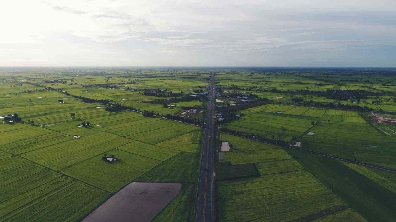 The image shows an aerial view of green land and a long road at Godrej Plots Raipur.