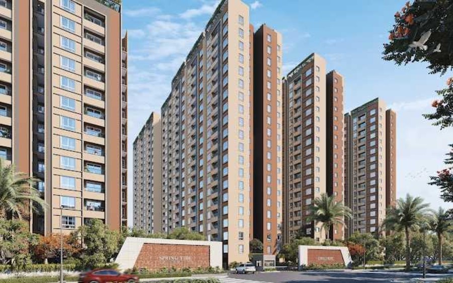 Prestige Evergreen