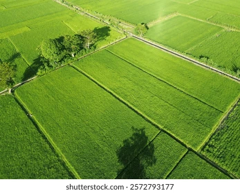 Rustomjee Karjat